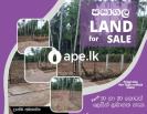 Land For Sale In Payagala  කළුතර පයාගල �